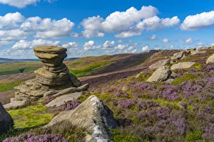 Heather Prints: View of the Salt Cellar Rock Formation, Derwent Edge, Peak District National Park
