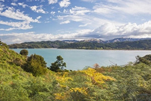 Tasman Prints: View over Sandy Bay from the Abel Tasman Coast Track