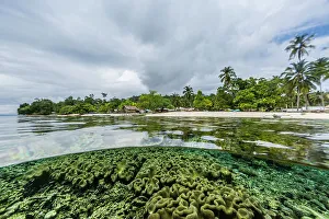 Surface Level Prints: Above and below view of Sauwaderek Village Reef