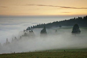 View from Schauinsland mountain in autumn, Black Forest, Baden Wurttemberg, Germany, Europe