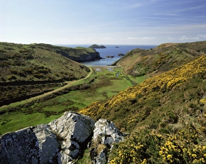 Pembrokeshire Prints: View to sea and beach from coast path near Lower Solva