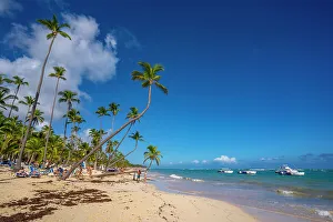 Punta Cana Prints: View of sea, beach and palm trees on a sunny day