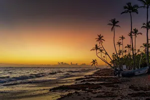 Punta Cana Prints: View of sea, beach and palm trees at sunrise