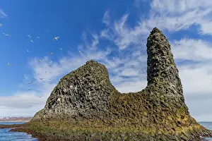 Northeast Prints: A view of sea cliffs and stacks in the Langanes peninsula in the northeast part of Iceland