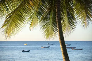 A view out to sea at sunset beneath the palm trees at Castara Bay in Tobago, Trinidad and Tobago