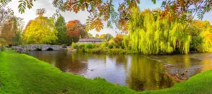 Banks Prints: View of Sheepwash Bridge over the River Wye with autumn colors in Bakewell