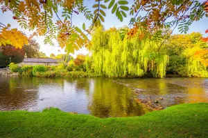 United Prints: View of Sheepwash Bridge over River Wye with autumn foliage in Derbyshire Dales, England