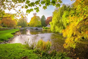 Country Prints: View of Sheepwash Bridge over River Wye in autumn with trees and water in Derbyshire