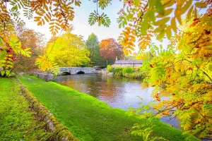 Meadow Prints: View of Sheepwash Bridge and River Wye surrounded by autumn colors in Bakewell