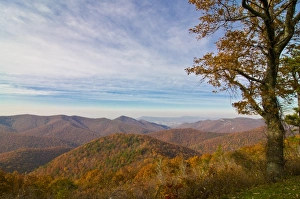 Images Dated 3rd November 2008: View over the Shenandoah National Park with beautiful foliage in the Indian summer