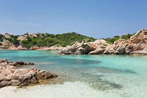 Lush Vegetation Prints: View from shore across the calm turquoise waters of Cala Napoletana