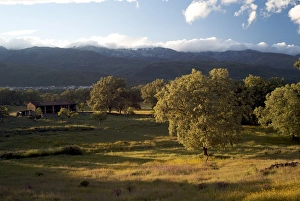 Sun Lit Prints: View to Sierra de Gredos, La Vera, Extremadura, Spain, Europe