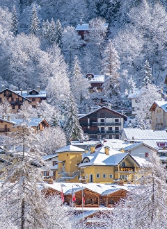 Chalet Prints: View of snow covered trees and Courmayeur from Dolonne in winter