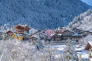 Courmayeur Prints: View of snow covered trees, mountains and Dolonne from Courmayeur in winter