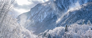Courmayeur Prints: View of snow covered trees, mountains from Dolonne in winter