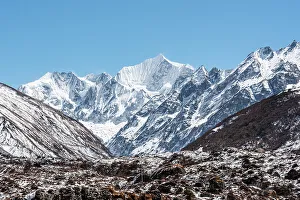 Himalayas Prints: View on the snowy Gangchempo in Lang Tang Valley