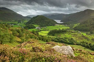 Heather Prints: View south to Thirlmere from Wren Crag, Lake District National Park, UNESCO World