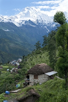 Pokhara Prints: View of southern Annapurna with Landruk villge in foreground