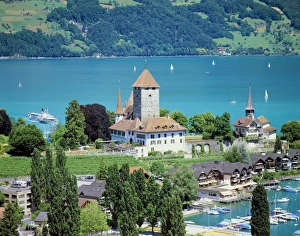 Thun Prints: View of Spiez over Lake Thun