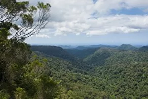 Images Dated 11th November 2008: View over the Springbrook National Park, New South Wales, Australia, Pacific
