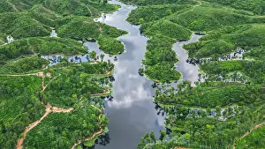 Wetlands Prints: View of the Sreemangal tea region and waterway in Bangladesh creating patterns in the landscape