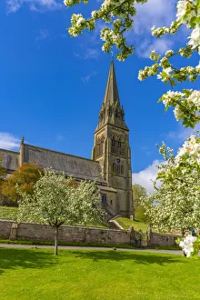 Edensor Prints: View of St. Peters Church and spring blossom, Edensor Village, Chatsworth Park