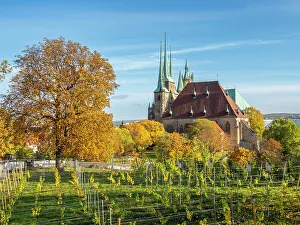Viniculture Prints: View of St. Severus Church at Erfurt
