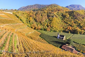 Merano Prints: View of St. Valentin church surrounded by autumn colors