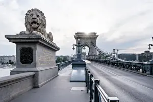 Guard Prints: View of a stone lion at the Chain Bridge in Budapest with the bridge structure in the background