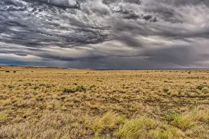 Conditions Prints: View of storm clouds rolling over prairie grassland in northern Arizona near Wupatki National Monument