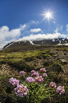 Snaefellsnes Peninsula Gallery: A view of the stratovolcano Snaefellsjokull, Snaefellsnes National Park, Snaefellsnes Peninsula