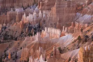 View from Sunrise Point at sunrise, Bryce Canyon National Park, Utah, United States of America