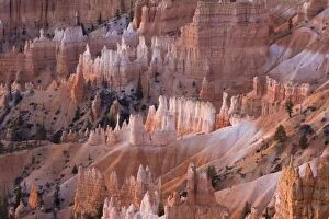 Images Dated 22nd November 2007: View from Sunrise Point at sunrise, Bryce Canyon National Park, Utah, United States of America