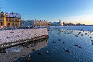 Frosty Prints: View of swans and ducks with colourful buildings