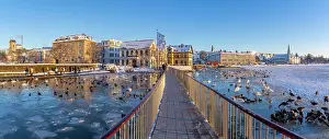 Waterfowl Prints: View of swans and ducks with colourful buildings