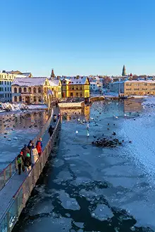 Nordic Prints: View of swans and ducks with colourful buildings