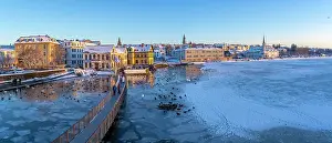Chill Prints: View of swans and ducks with colourful buildings