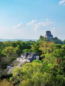 Remnants Prints: View over Talud-Tablero Temple 5C-49 towards Temple IV in Tikal