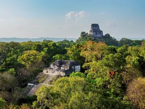 Temples Prints: View from Talud-Tablero Temple shows Structure 5C-49 and Temple IV at Mundo Perdido Tikal in Peten Guatemala