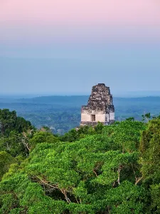Pyramid Prints: View of Temple I at dusk with jungle scenery in background in Tikal, Guatemala