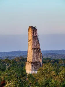 Artistry Prints: View of Temple III at sunset from an elevated perspective in Tikal Guatemala