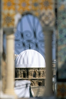 Tunis Prints: View from the terrace of the Palais d Orient