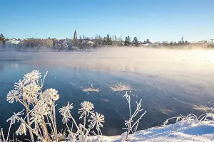 Holiness Prints: View of Tjornin park and Hallgrimskirkja on a sunny day in winter, Reykjavik, Iceland