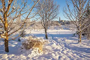 Tjornin Prints: View of Tjornin park and Hallgrimskirkja on a sunny day in winter, Reykjavik, Iceland
