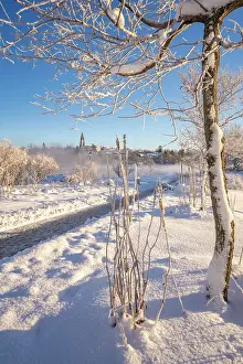 Captivating Prints: View of Tjornin park and Hallgrimskirkja on a sunny day in winter, Reykjavik, Iceland