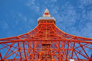 Steel Prints: View of Tokyo Tower from its base against blue sky