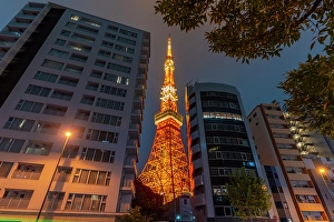 Tokyo Prints: View of Tokyo Tower and city buildings at night, Minato City, Tokyo, Honshu, Japan