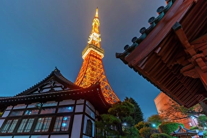 Tokyo Prints: View of Tokyo Tower and Rurikoji Buddhist Temple at night