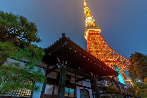 Tokyo Prints: View of Tokyo Tower and Rurikoji Buddhist Temple at night