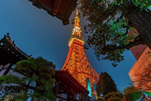 Tokyo Prints: View of Tokyo Tower and Rurikoji Buddhist Temple at night